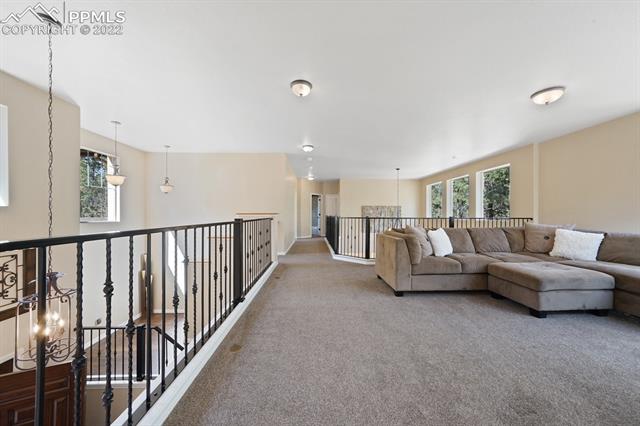 15909 Forest Light Road Colorado Springs, CO 80908 - Photo 25 of 48 Gallery Image 25