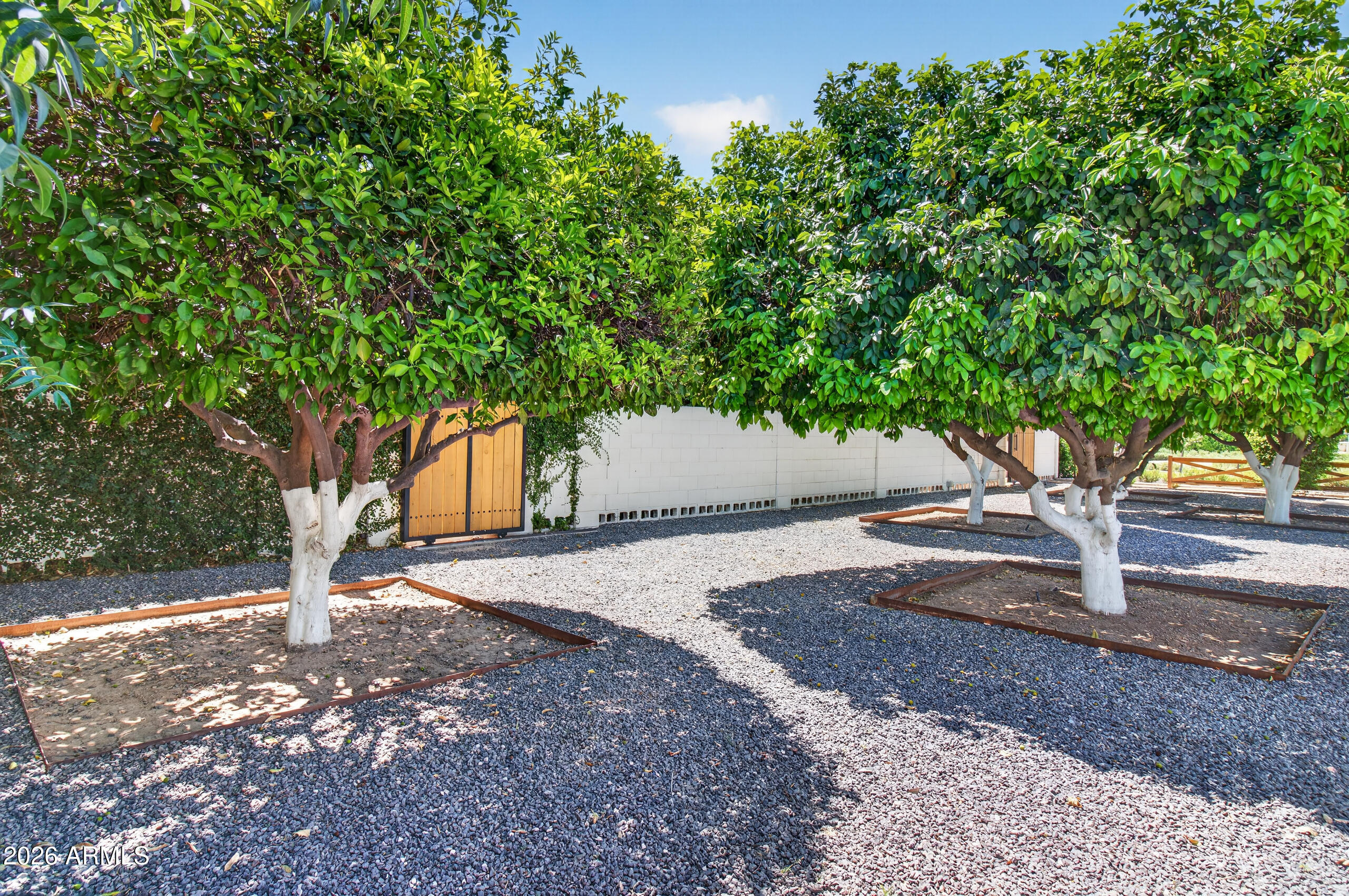 2677 East Queen Creek Road Gilbert, AZ 85297 - Photo 98 of 128 a view of a yard with plants and trees