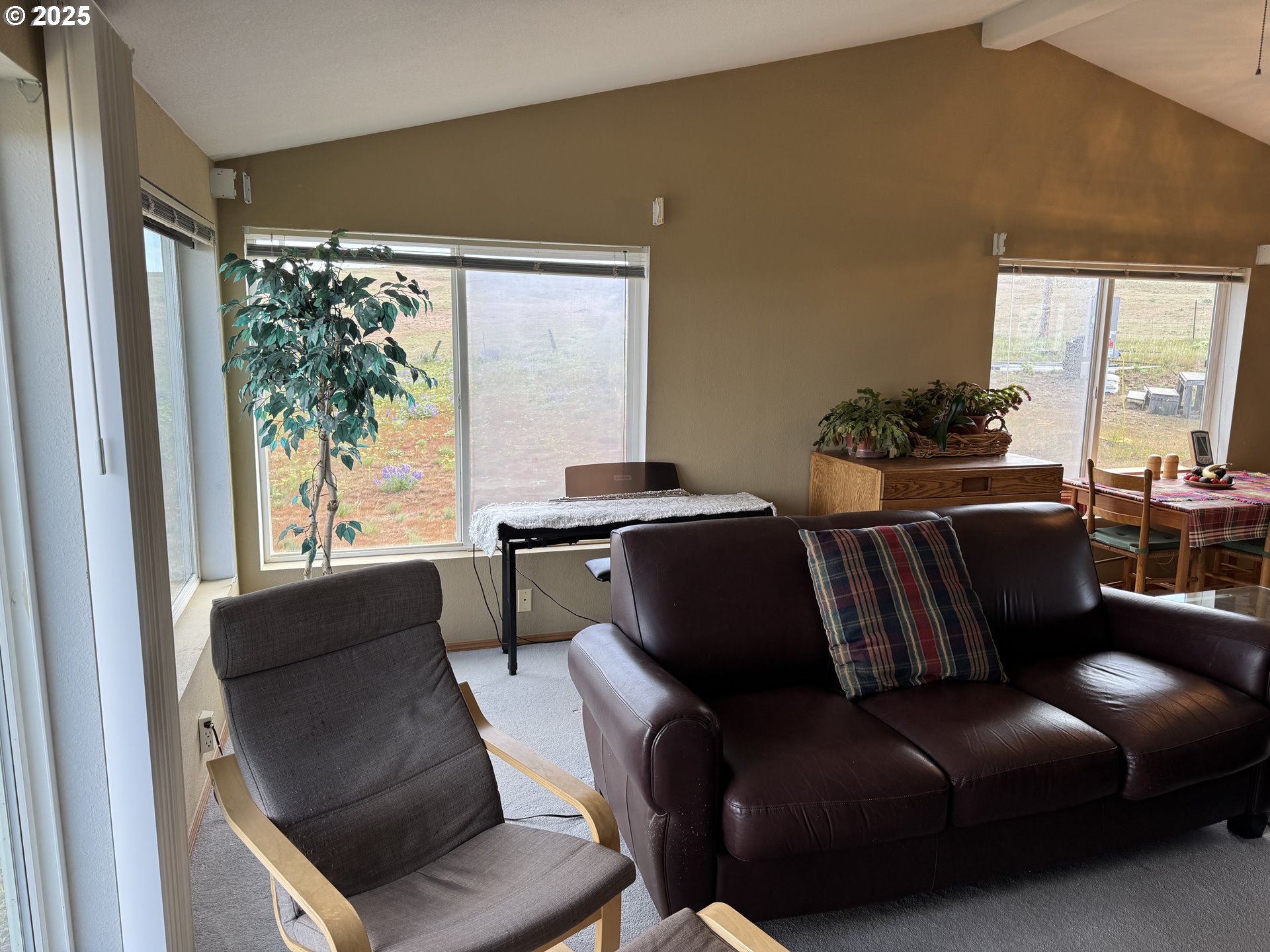 708 Dooley Road Centerville, WA 98613 - Photo 16 of 44 Gallery Image 16