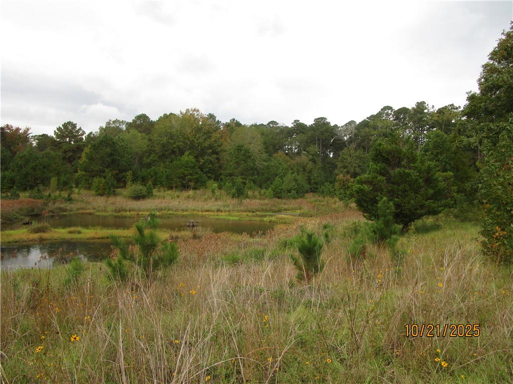 740 Mary Barron Road Pollock, LA 71467 - Photo 2 of 11