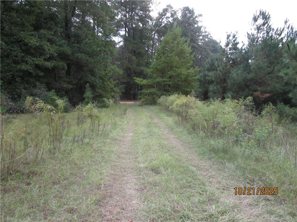 740 Mary Barron Road Pollock, LA 71467 - Photo 4 of 11