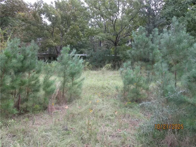 $140,000 | 740 Mary Barron Road, Pollock, LA 71467