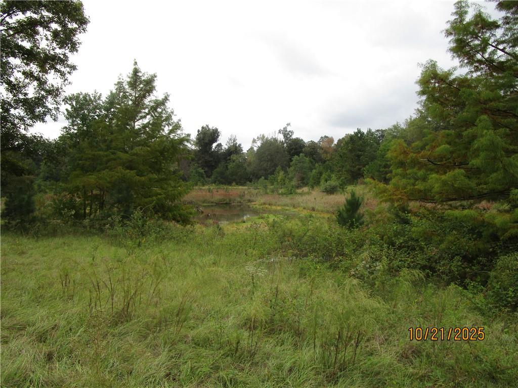 740 Mary Barron Road Pollock, LA 71467 - Photo 8 of 11