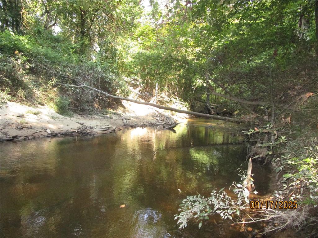 740 Mary Barron Road Pollock, LA 71467 - Photo 9 of 11