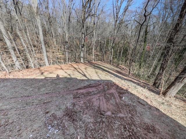 445 Milton Drive Canton, GA 30114 - Photo 11 of 32