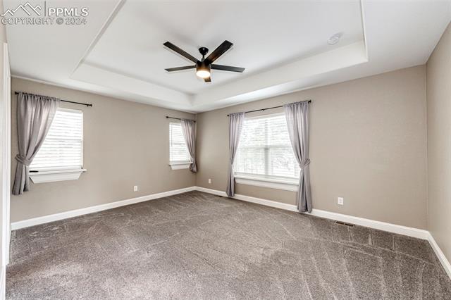 711 Pine Ridge Street Elizabeth, CO 80107 - Photo 21 of 39 Carpeted spare room featuring a wealth of natural light, ceiling fan, and a raised ceiling