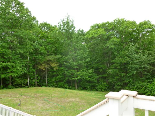 245 Lake Road Ashburnham, MA 01430 - Photo 21 of 22 a view of a field with a trees in the background