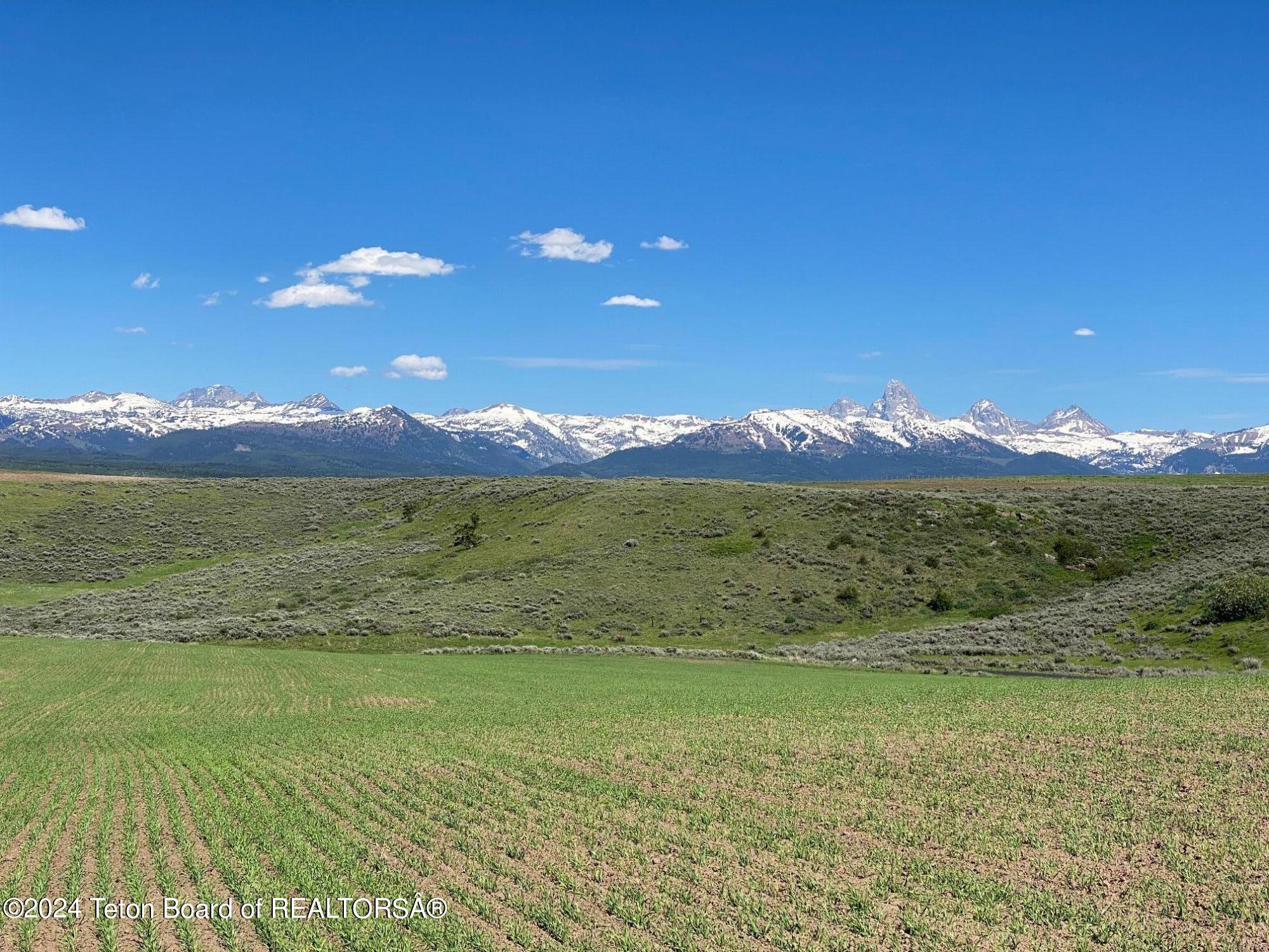 2633 Spring Hollow Ranch Road Tetonia, ID 83452 - Photo 3 of 18 Tetons