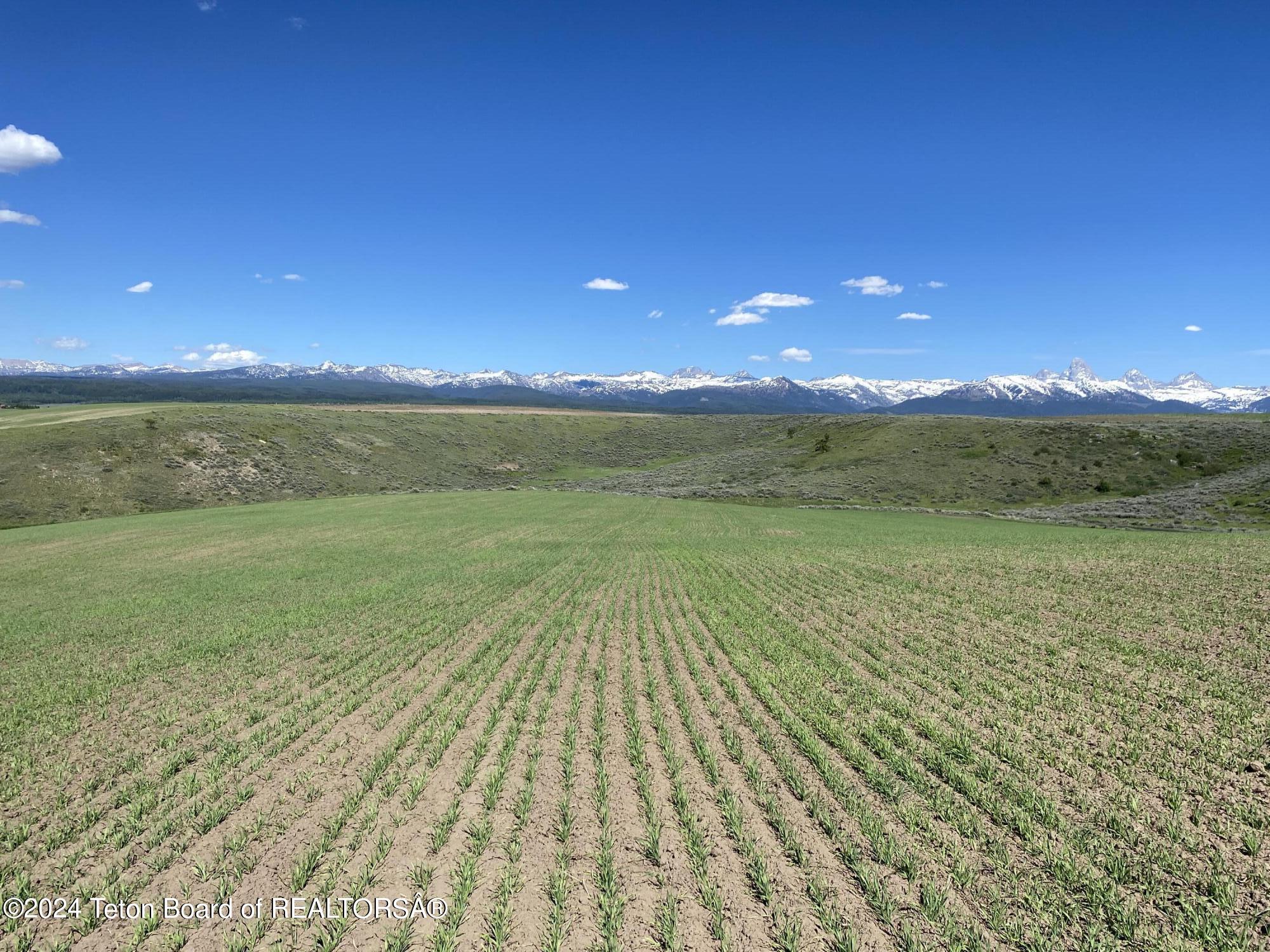 2633 Spring Hollow Ranch Road Tetonia, ID 83452 - Photo 5 of 18 Views