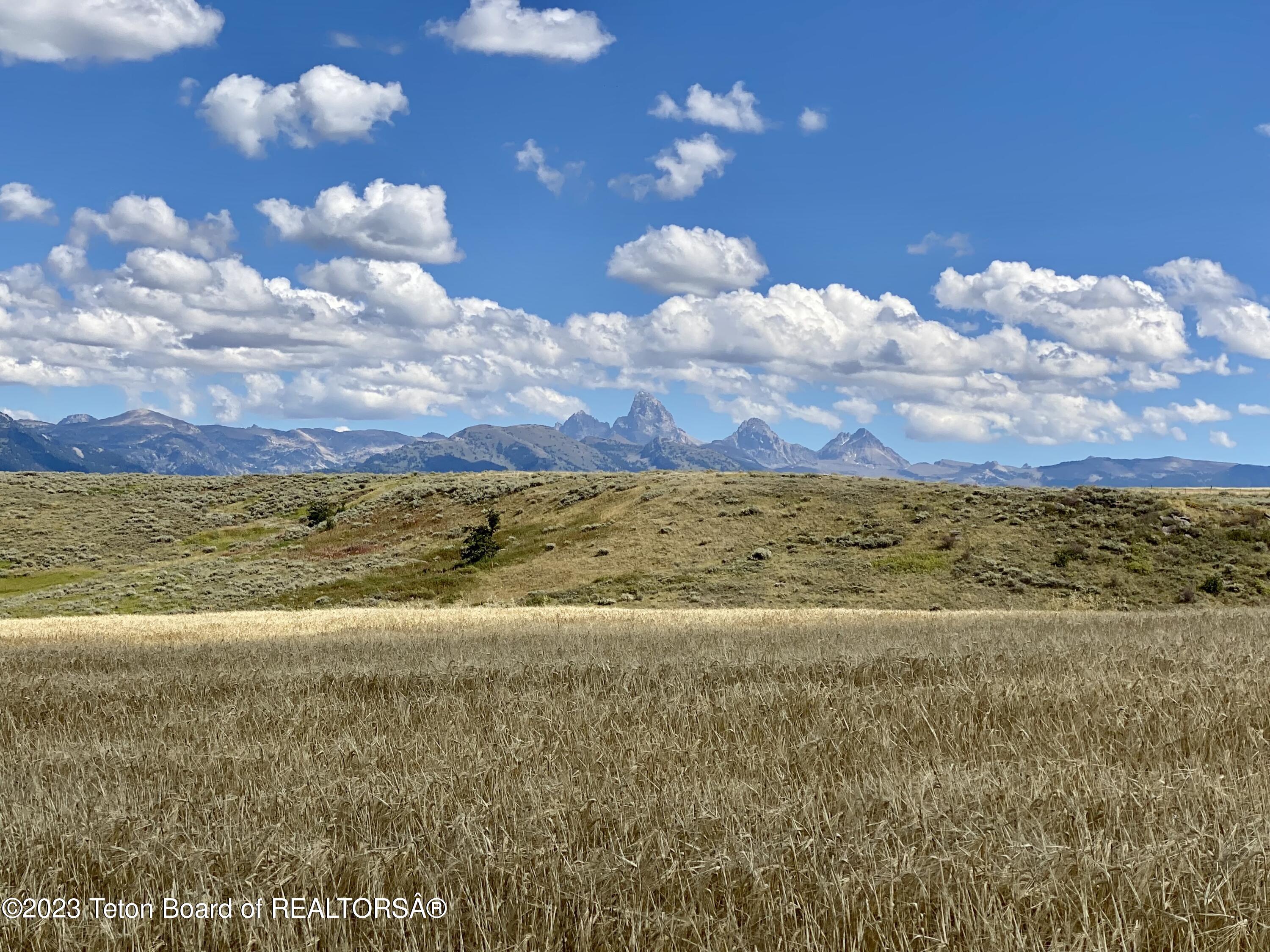 2633 Spring Hollow Ranch Road Tetonia, ID 83452 - Photo 7 of 18 Teton view pic 13