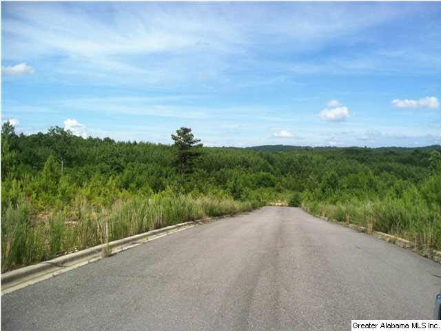 Old Acton Road, Unit 55 Moody, AL 35004 - Photo 1 of 9