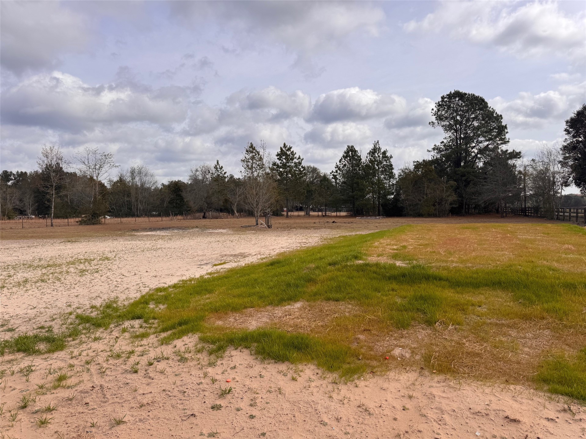 273535 Murrhee Road Hilliard, FL 32046 - Photo 5 of 25 a view of outdoor space with swimming pool and trees in the background