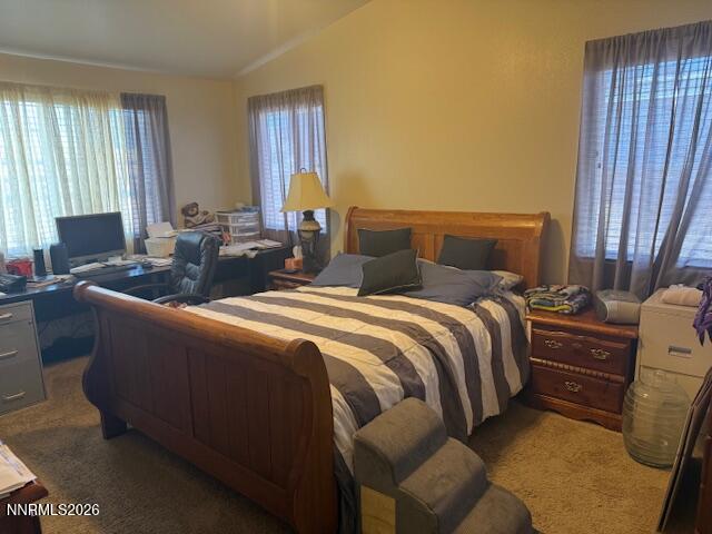 512 Darren Way Fernley, NV 89408 - Photo 15 of 32 IMG_3768