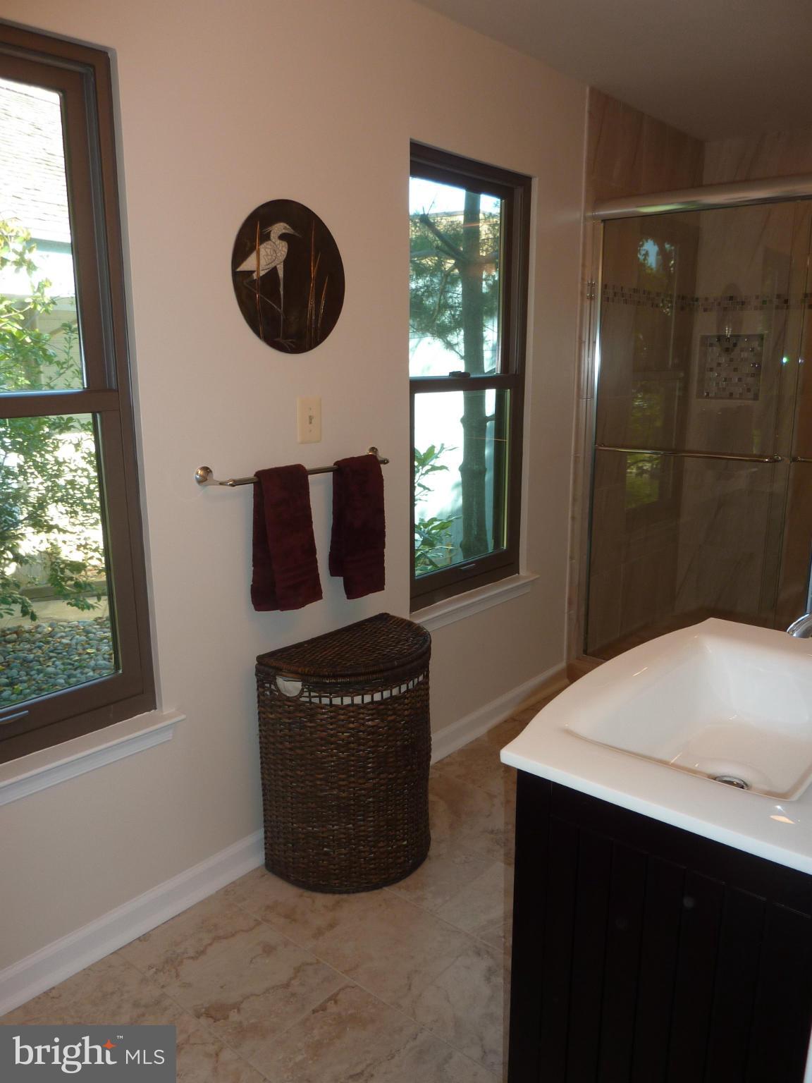 11300 Harbor Court, Unit 113 Reston, VA 20191 - Photo 17 of 26 Master Bath with two windows