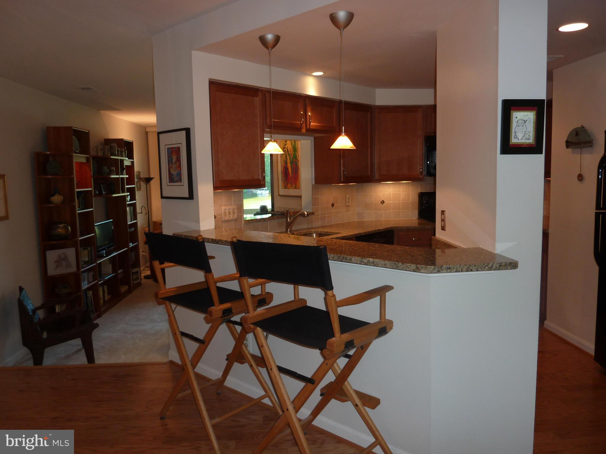 11300 Harbor Court, Unit 113 Reston, VA 20191 - Photo 4 of 26 Breakfast bar