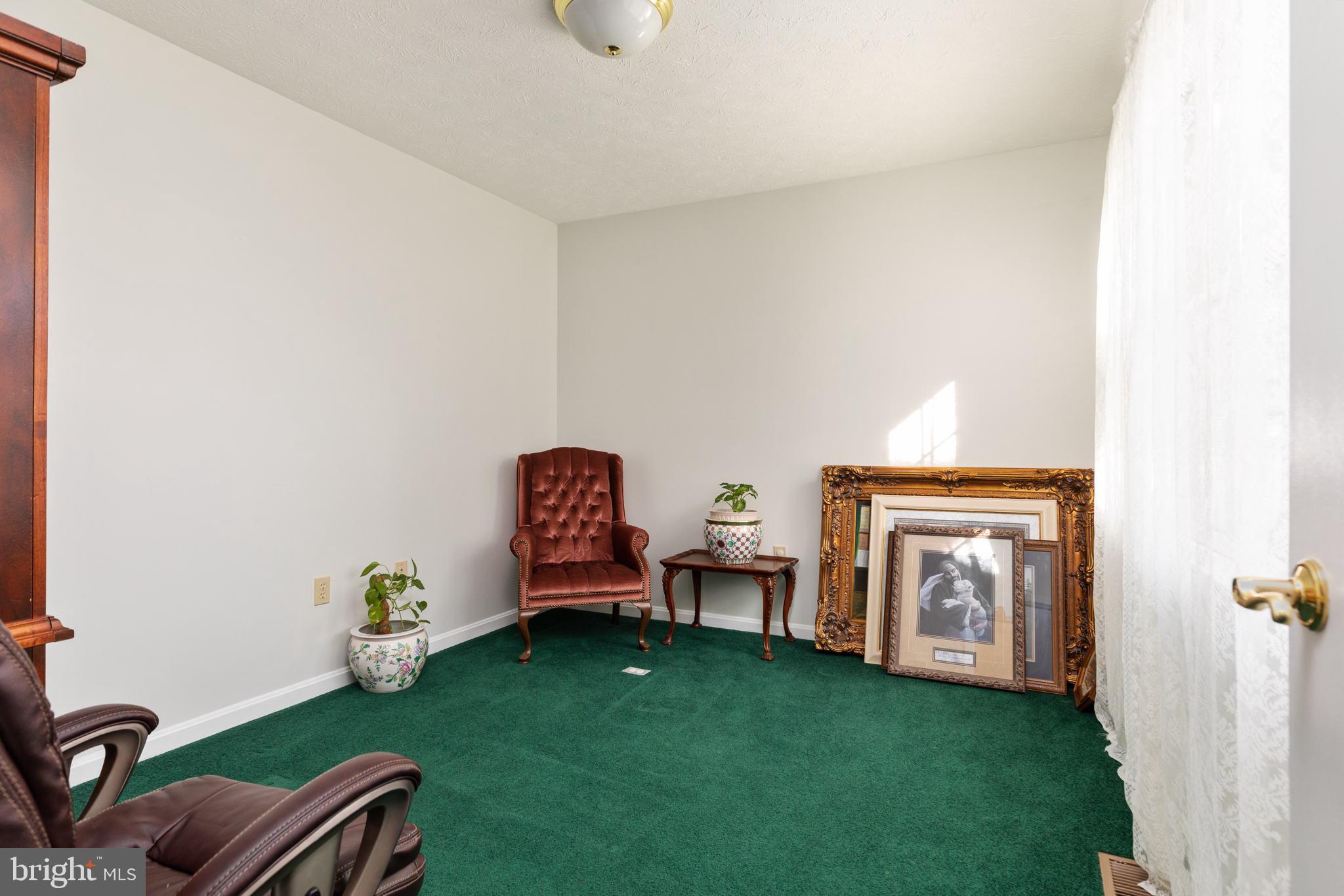 317 Anderson Road Basye, VA 22842 - Photo 16 of 51 a living room with furniture and a fireplace
