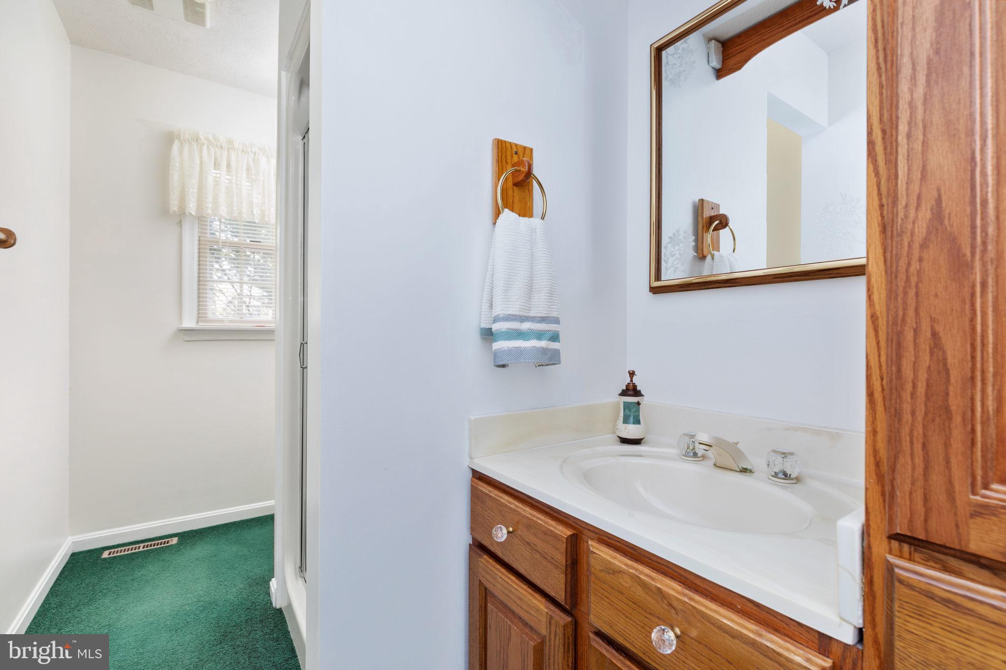 317 Anderson Road Basye, VA 22842 - Photo 17 of 51 a bathroom with a sink and a mirror