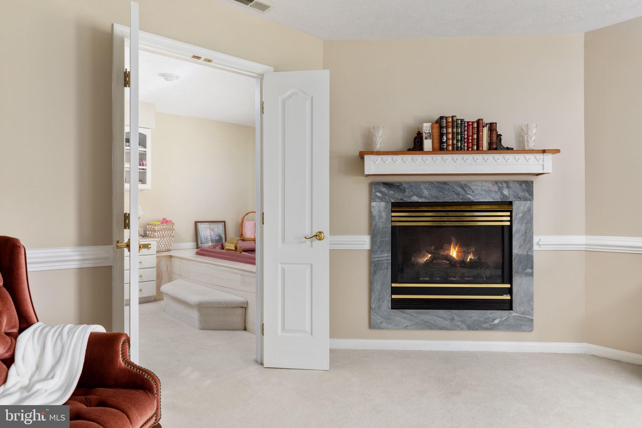 317 Anderson Road Basye, VA 22842 - Photo 20 of 51 a living room with furniture and a fireplace