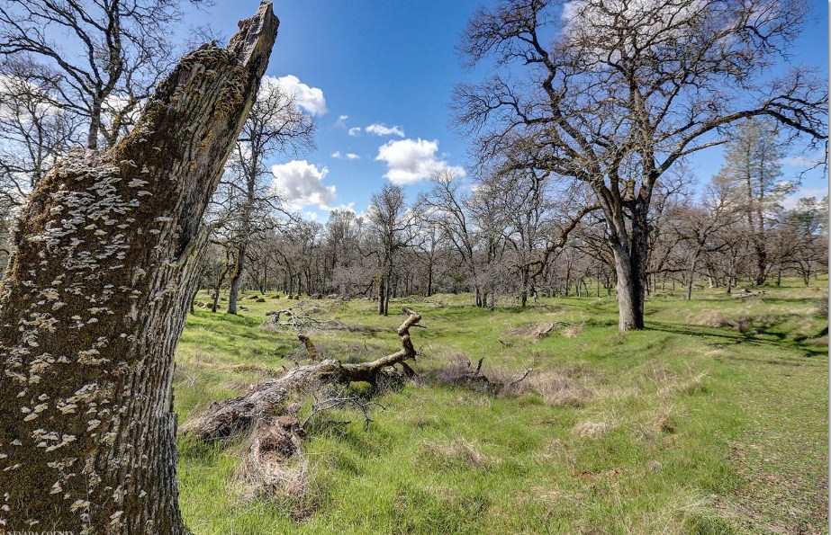 23826 Fagerlie Road Auburn, CA 95602 - Photo 8 of 21 Gallery Image 8