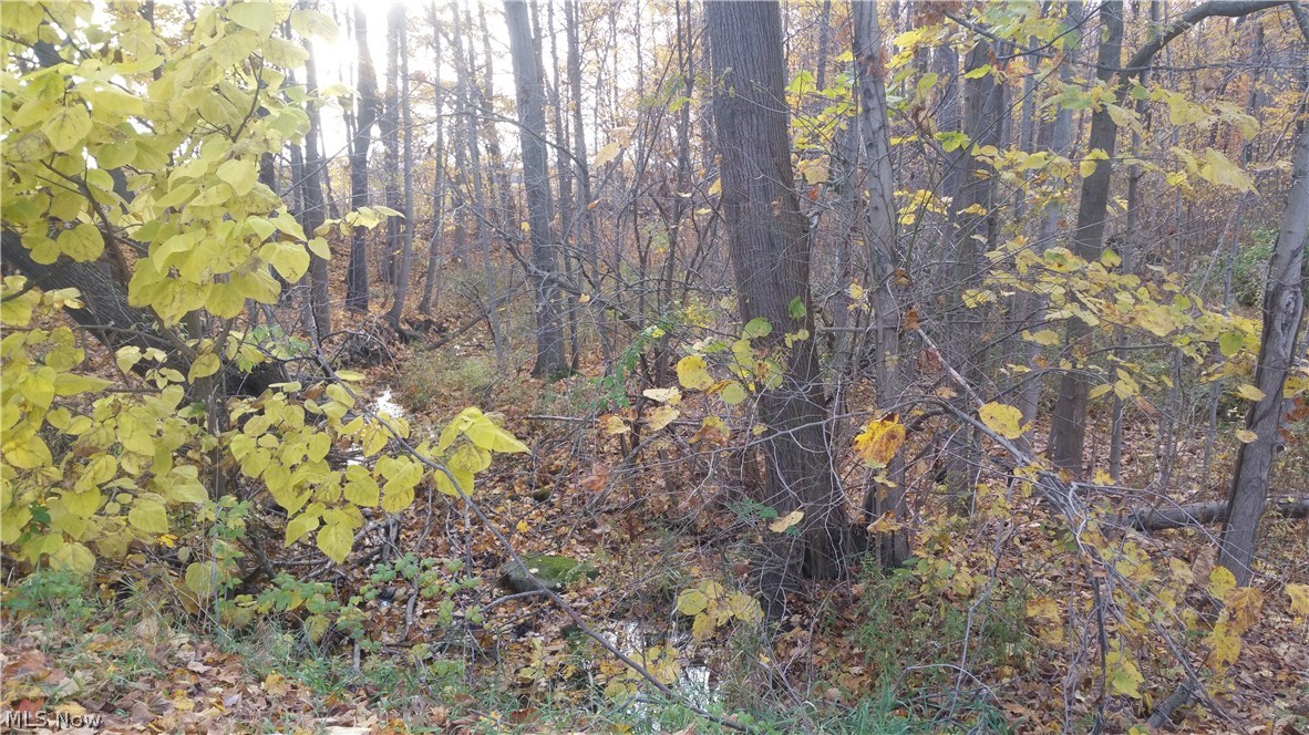 7083 Phillips Rice Road Cortland, OH 44410 - Photo 11 of 11 Gallery Image 11