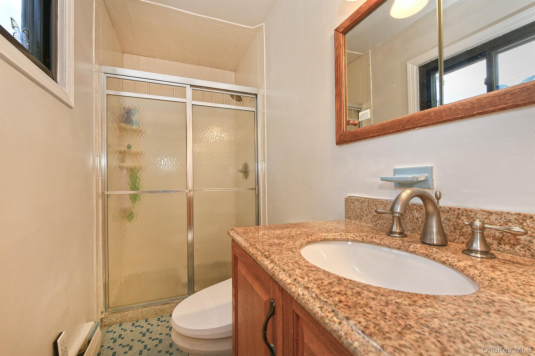105 Roxton Road Plainview, NY 11803 - Photo 17 of 28 a bathroom with a granite countertop sink toilet and shower