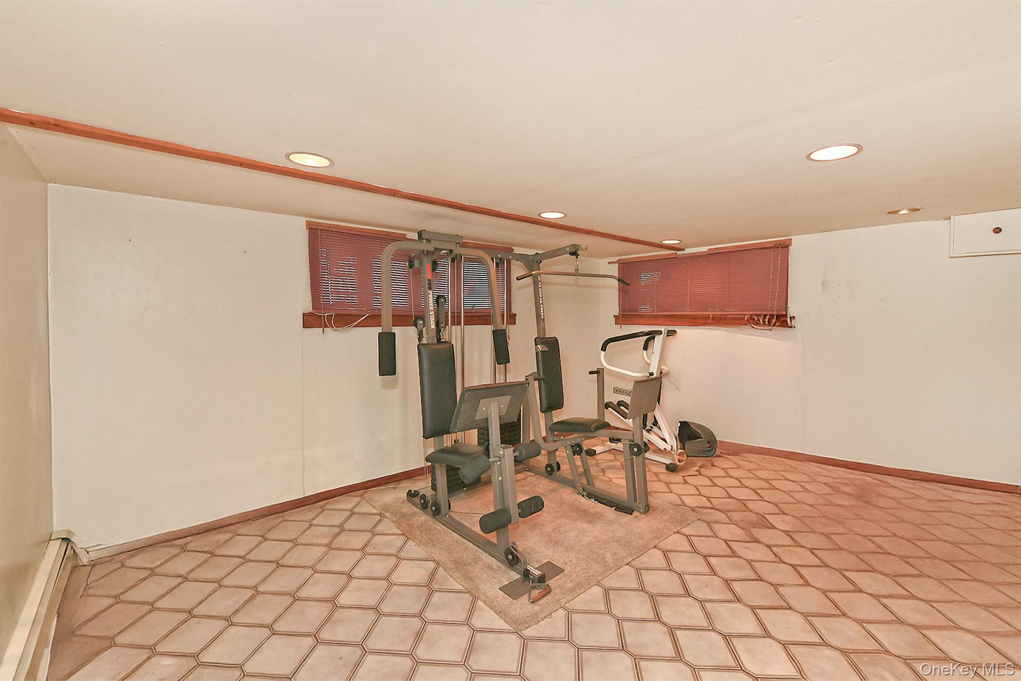 105 Roxton Road Plainview, NY 11803 - Photo 23 of 28 a view of a room with gym equipment
