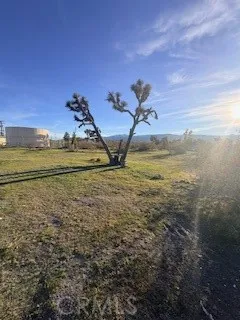 0 Madera Road Pinon Hills, CA 92372 - Photo 4 of 8 Gallery Image 4