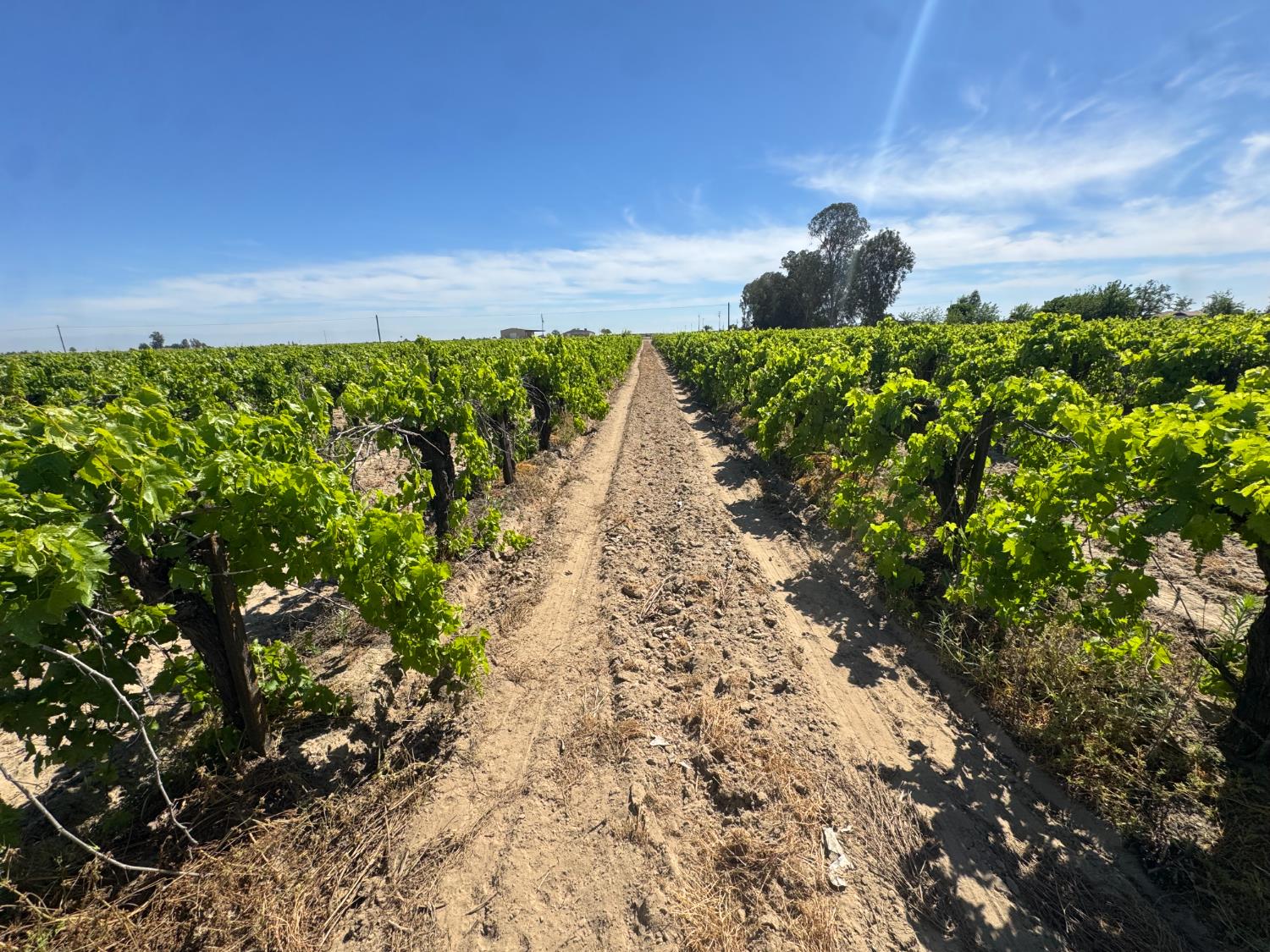 376 East Klepper Avenue Caruthers, CA 93609 - Photo 21 of 28