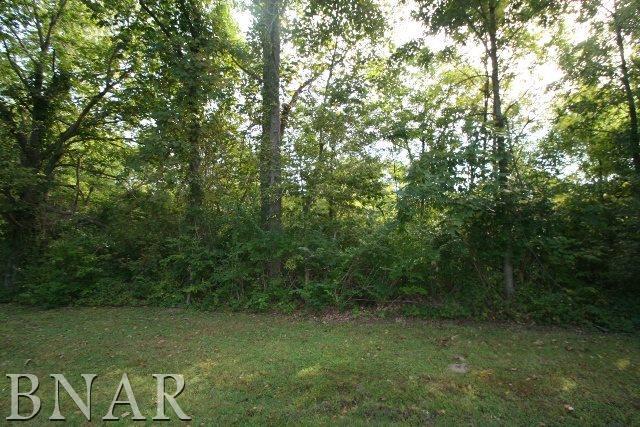 10057 Levy Road Tremont, IL 61568 - Photo 1 of 5 a view of a field