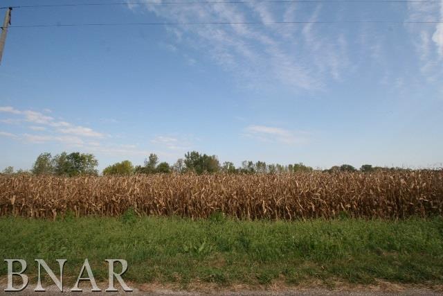 10057 Levy Road Tremont, IL 61568 - Photo 3 of 5 a view of a city with lush green forest