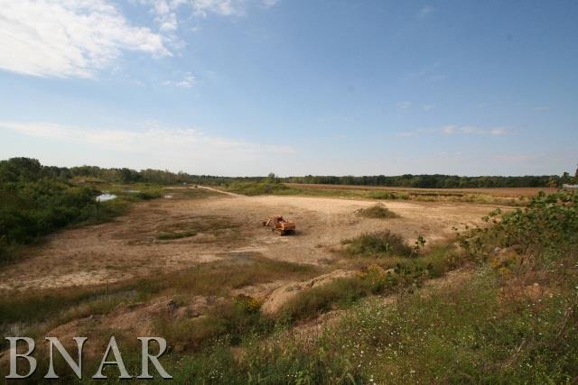 10057 Levy Road Tremont, IL 61568 - Photo 4 of 5 a view of a lake with houses in the back