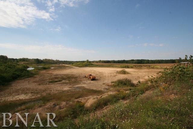 10057 Levy Road Tremont, IL 61568 - Photo 5 of 5 a view of a lake with houses in the back