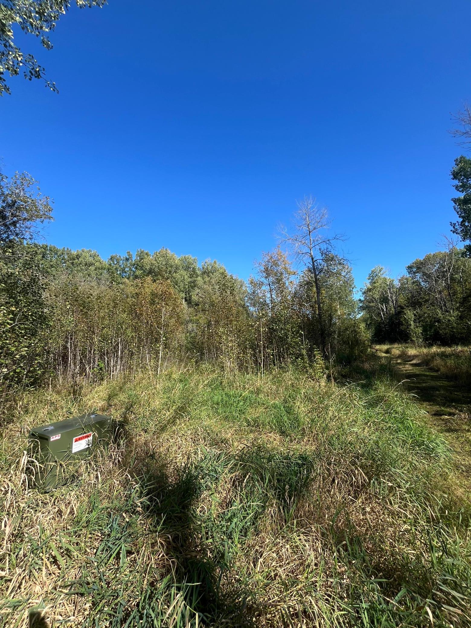 1 East Pine Drive Angle Inlet, MN 56711 - Photo 18 of 21