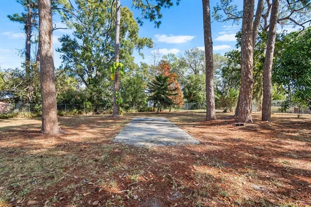 a view of backyard with tree