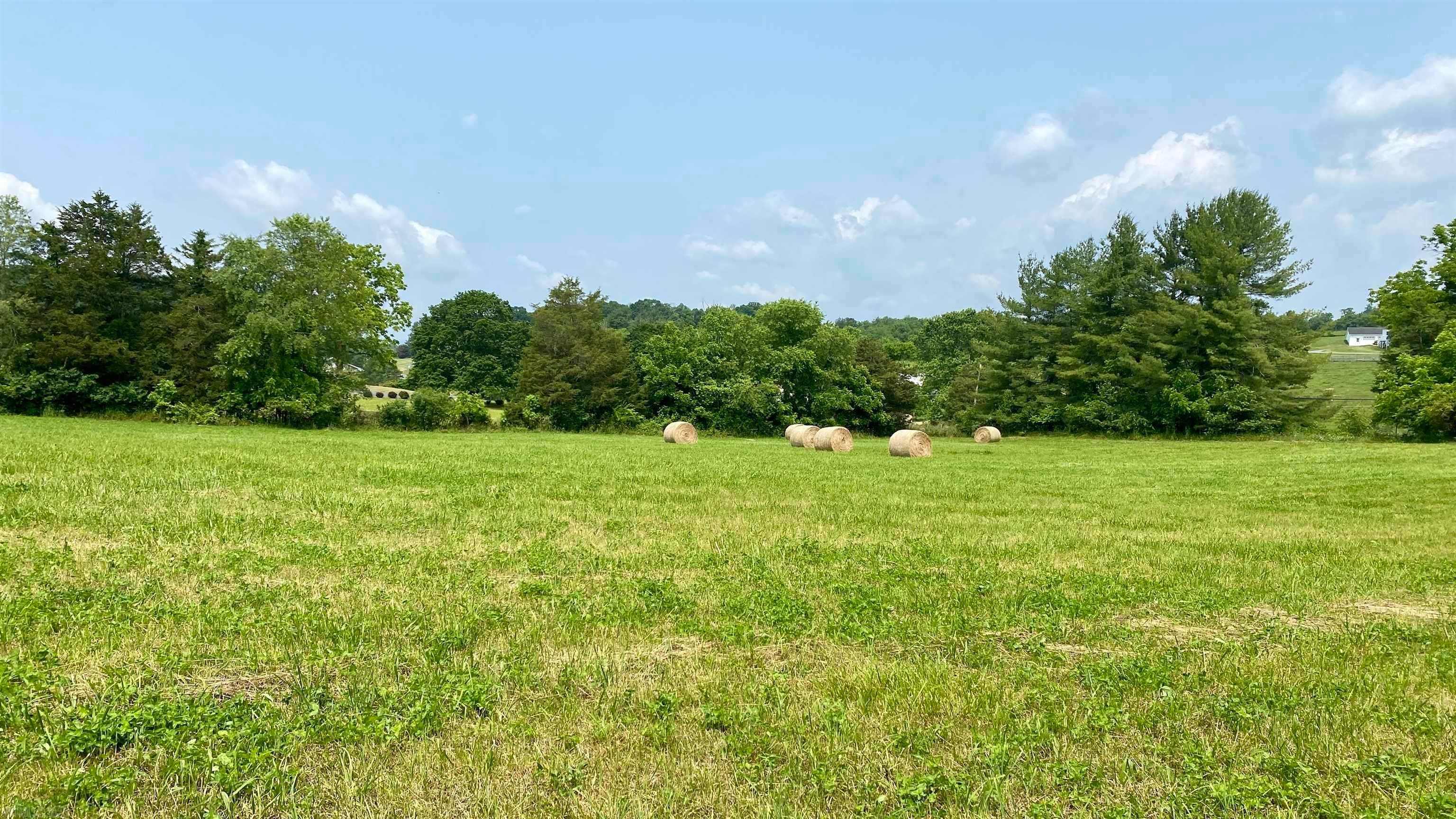 Tbd West Ridge Road Wytheville, VA 24382 - Photo 13 of 33 Gallery Image 13