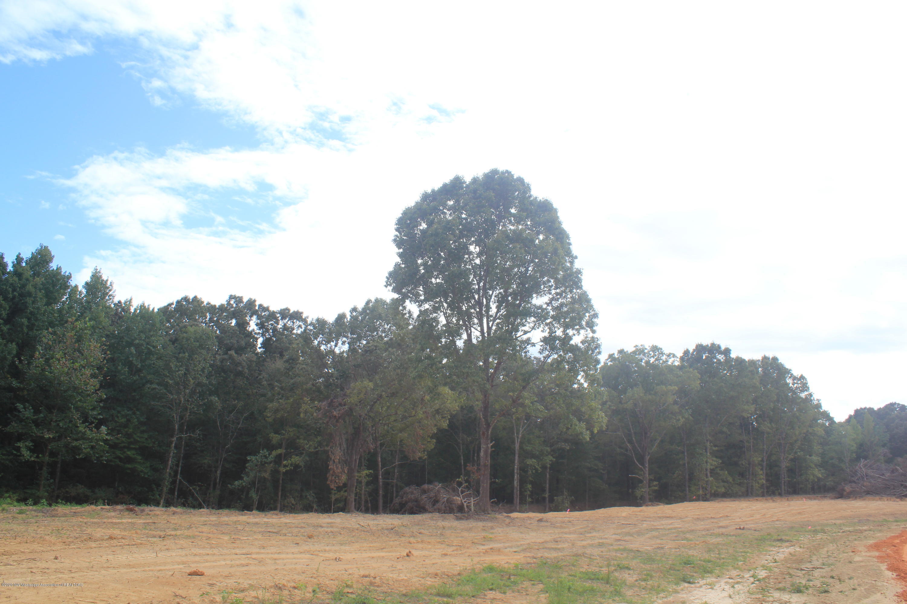 46 Hayward Road Byhalia, MS 38611 - Photo 14 of 28 IMG_4810