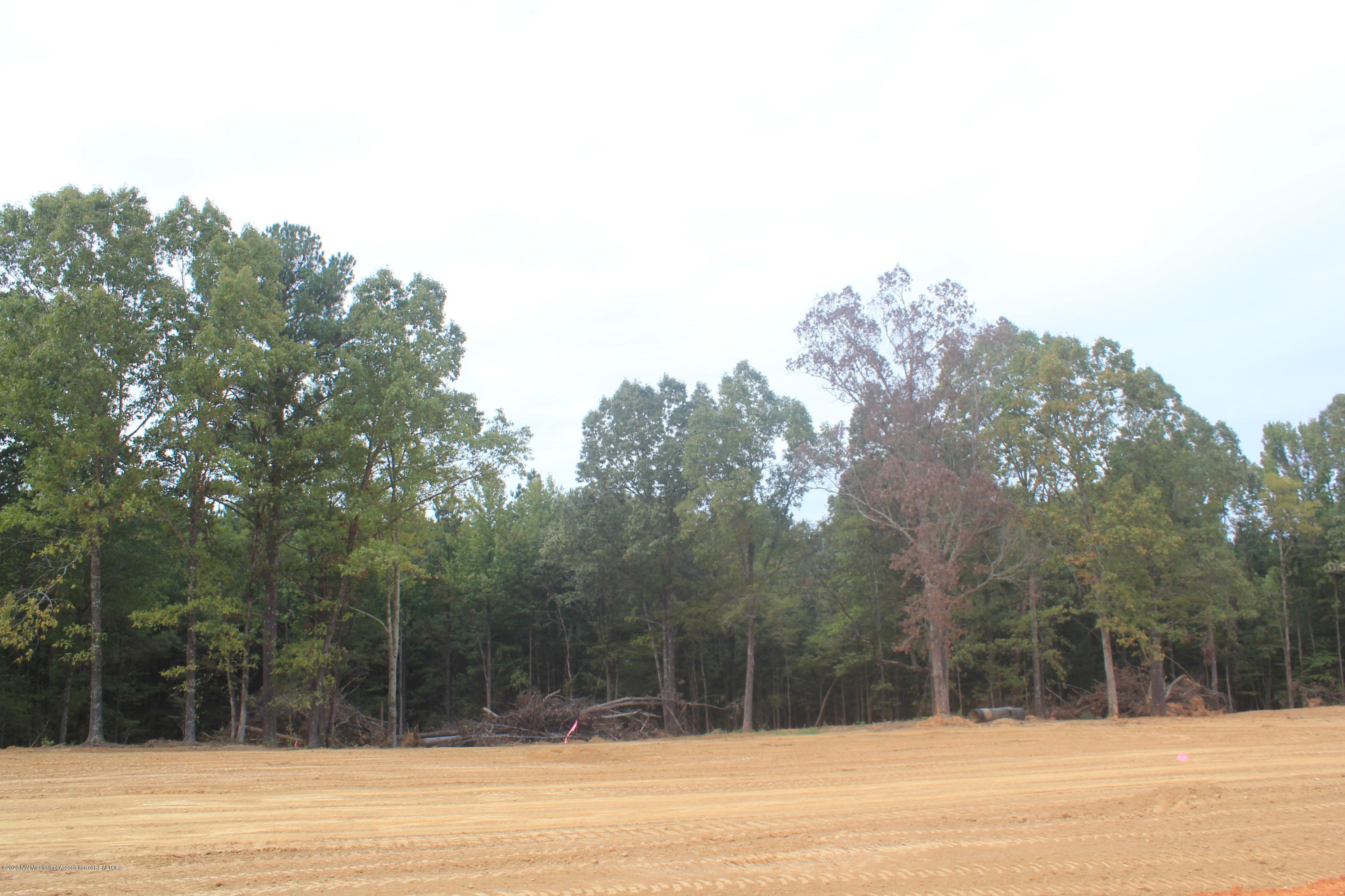 46 Hayward Road Byhalia, MS 38611 - Photo 6 of 28 IMG_4802