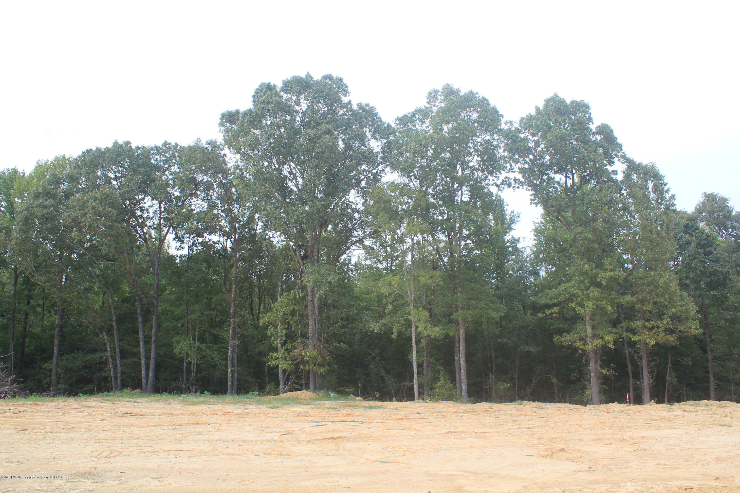 46 Hayward Road Byhalia, MS 38611 - Photo 7 of 28 IMG_4803