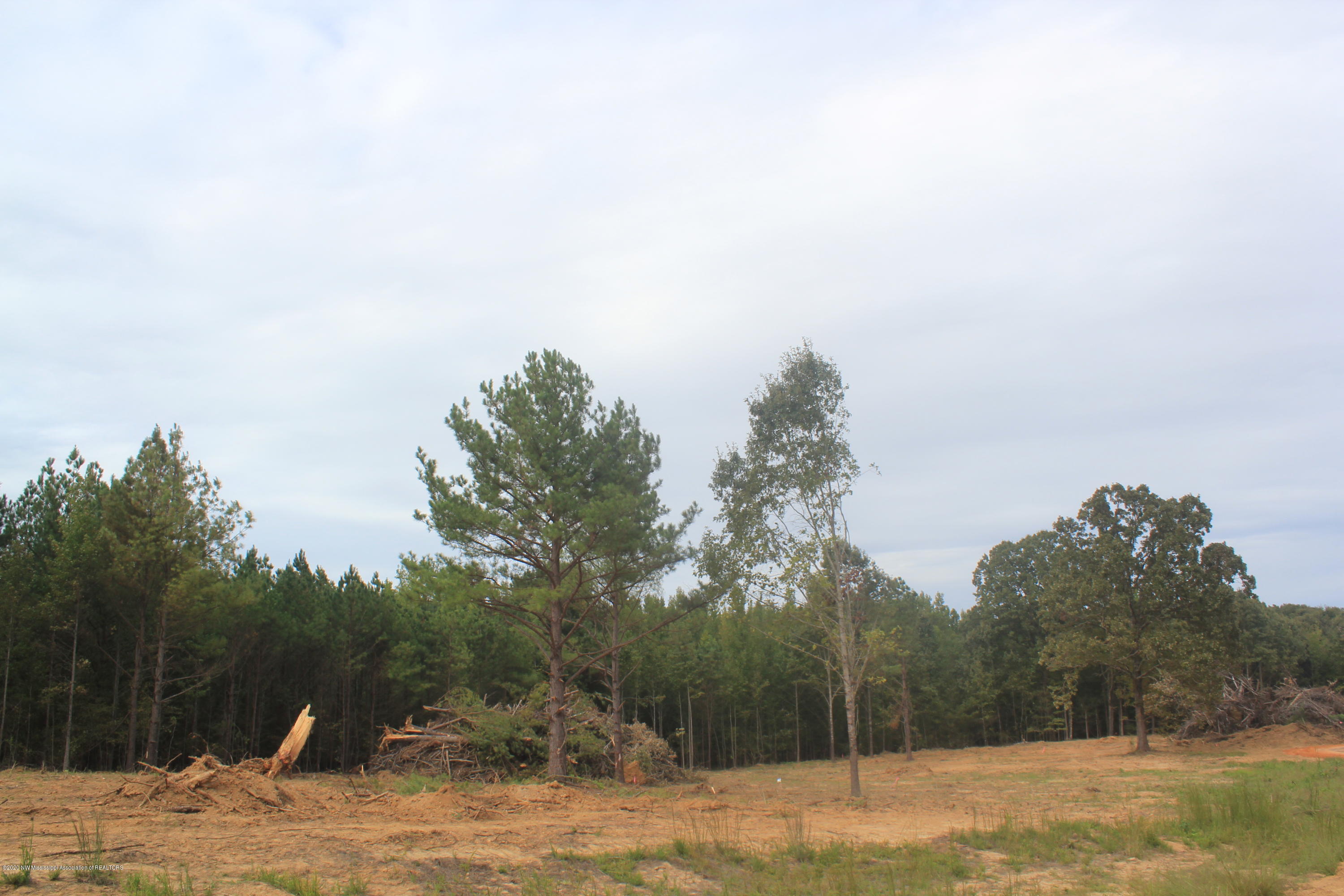 46 Hayward Road Byhalia, MS 38611 - Photo 10 of 28 IMG_4806