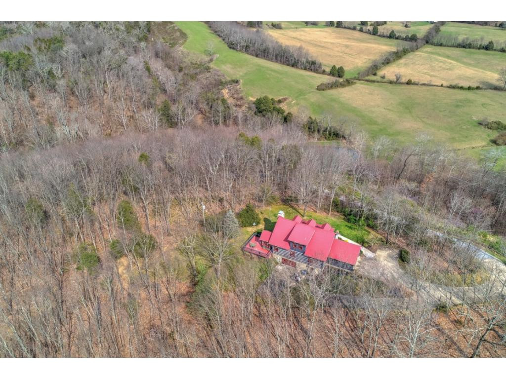 3640 Snapps Ferry Road Afton, TN 37616 - Photo 4 of 36 Photo 4