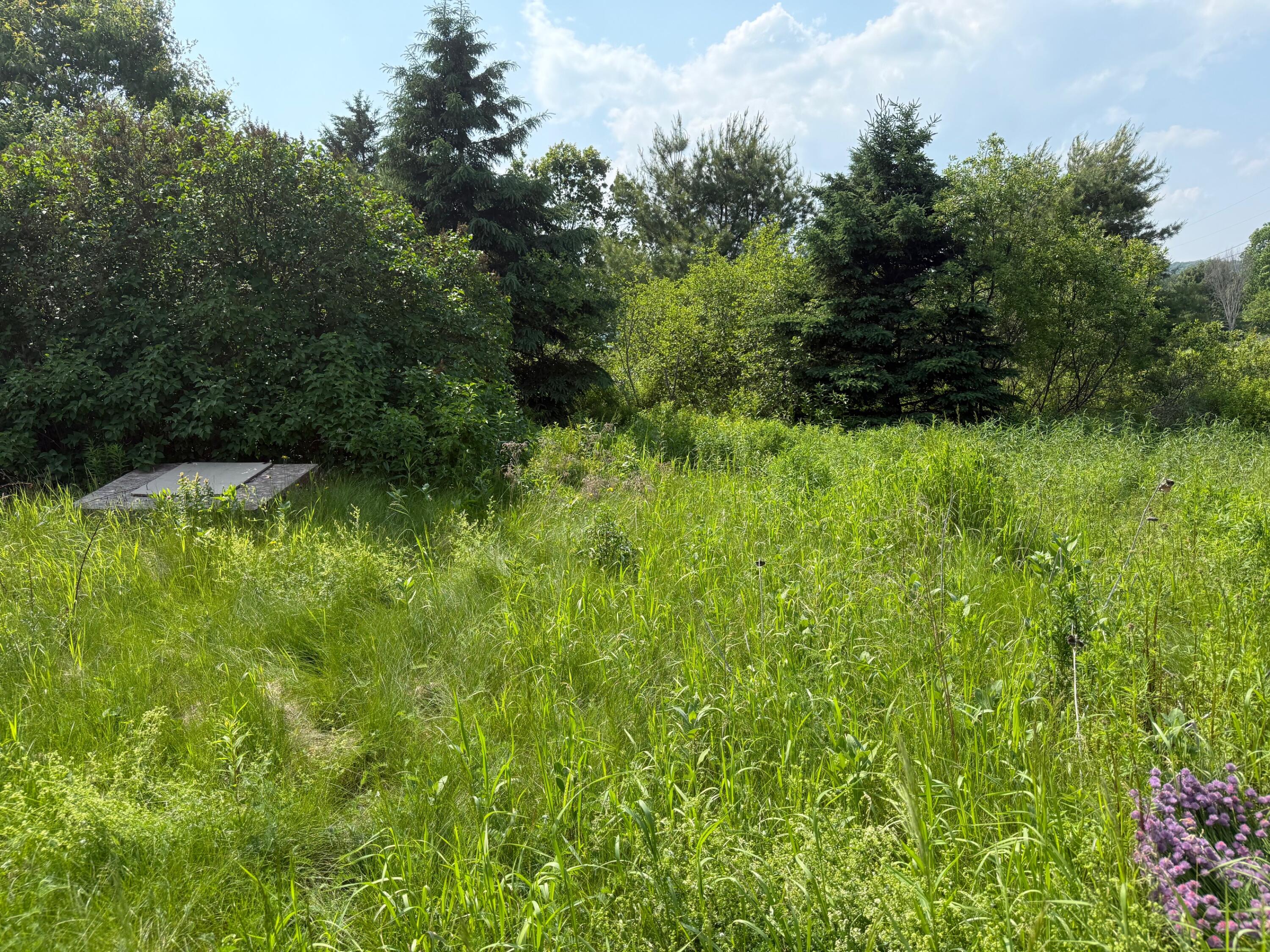 325 Camden Road Appleton, ME 04862 - Photo 15 of 23 IMG_1354