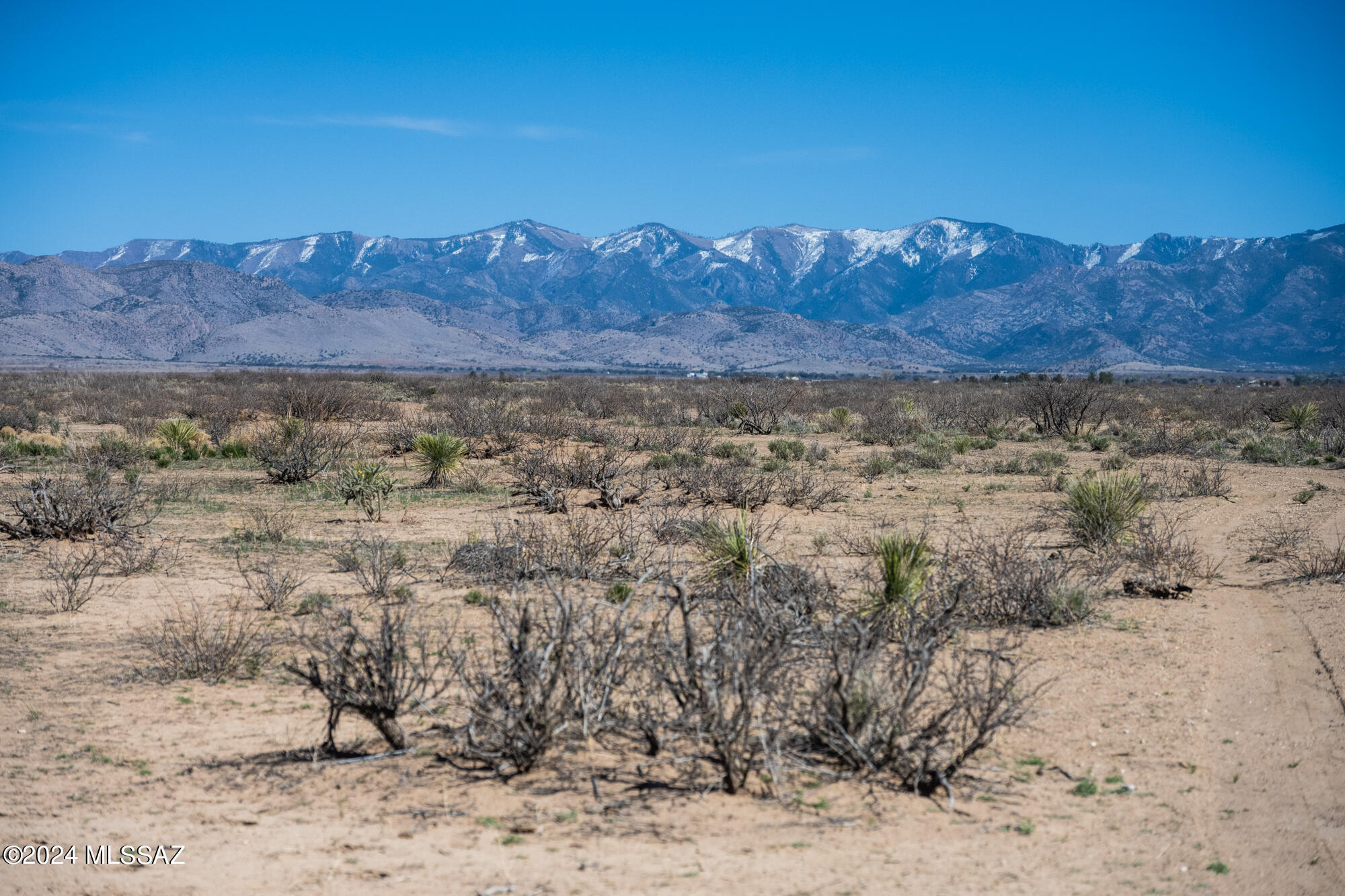 5-acres South Catclaw Road, Unit 6 Pearce, AZ 85625 - Photo 13 of 17
