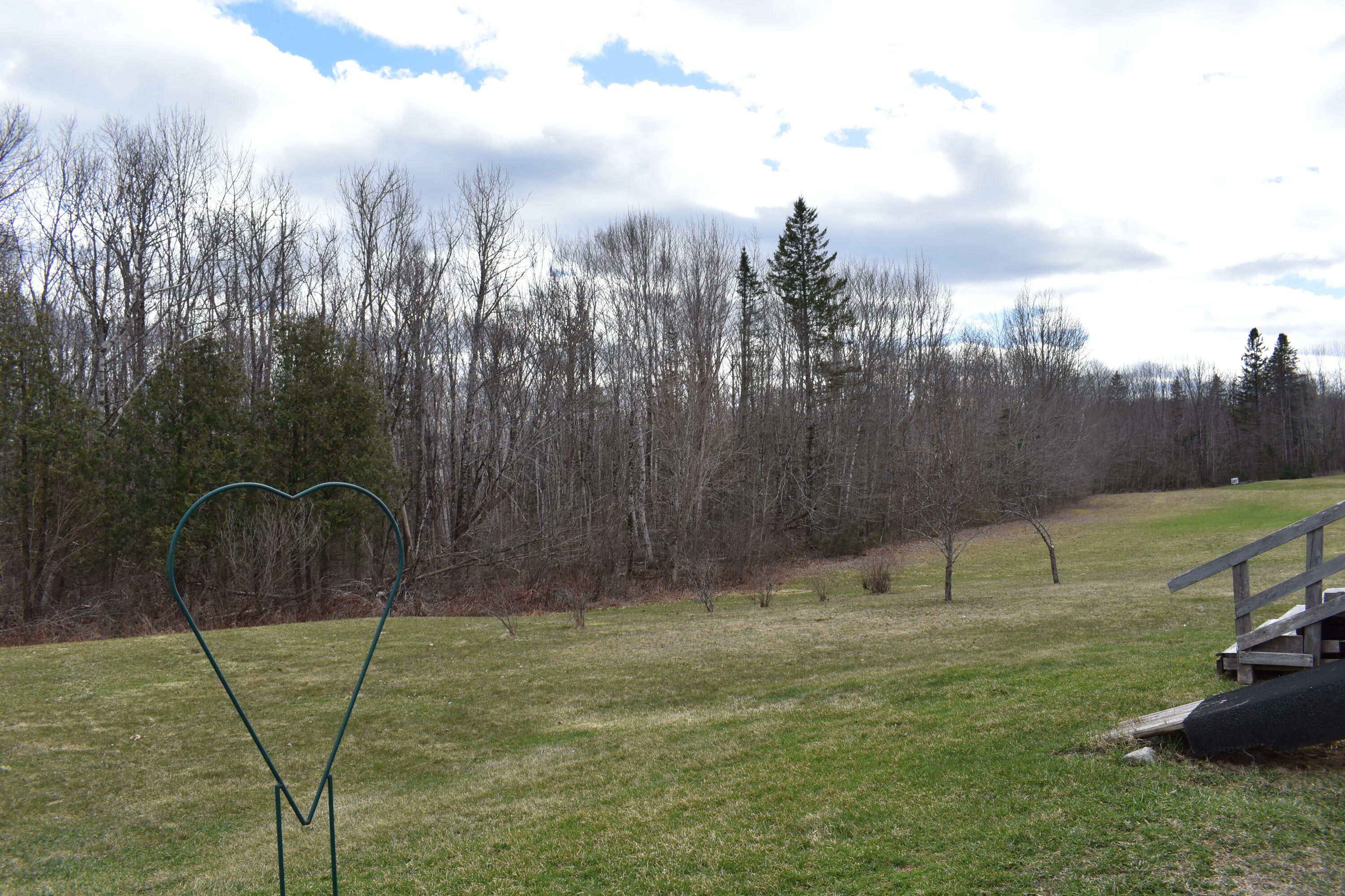 190 Cobb Road Lee, ME 04455 - Photo 50 of 64 DSC_0093