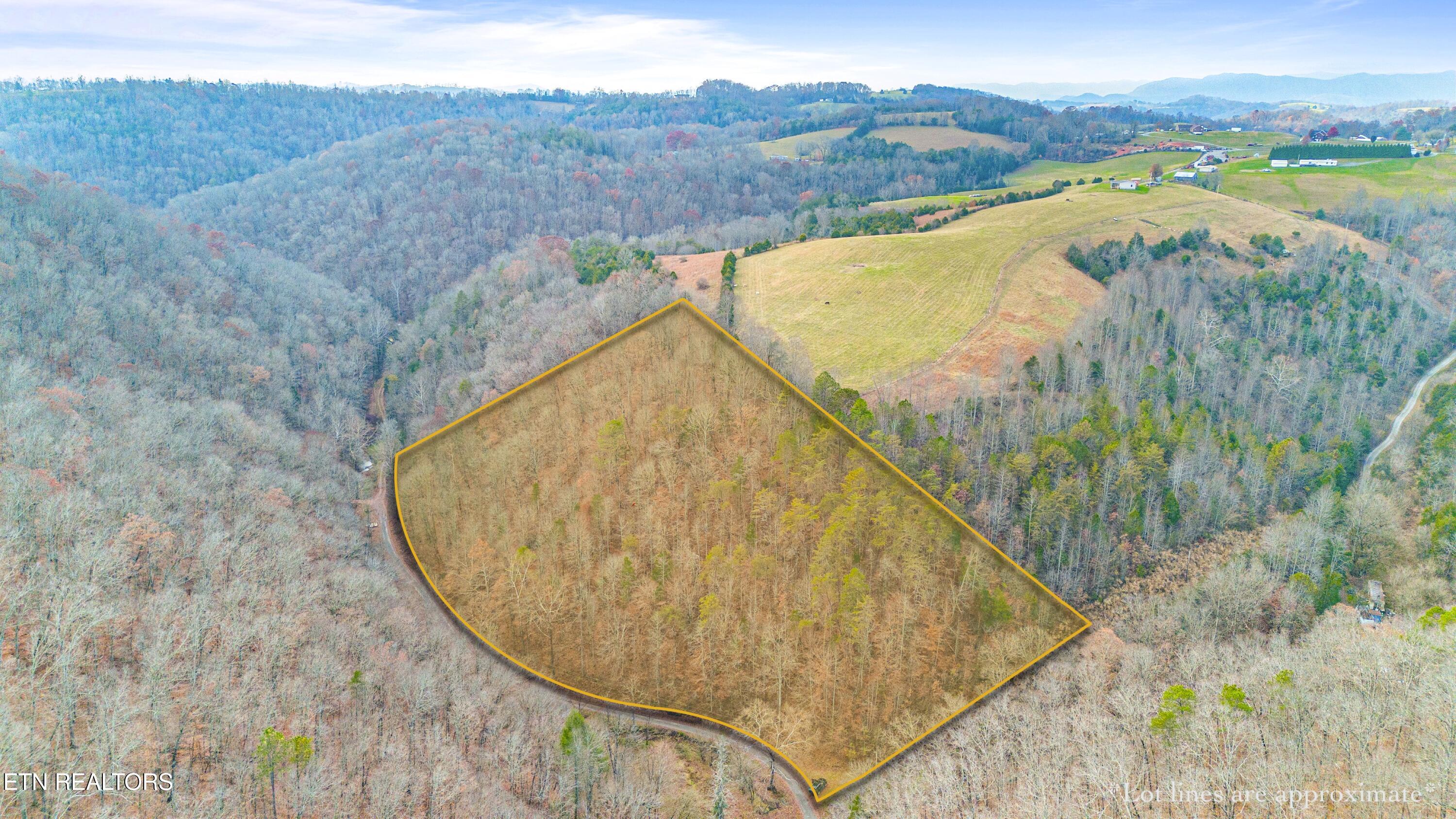 Ramsey Hollow Road Harrogate, TN 37752 - Photo 1 of 9 Ramsey Hollow