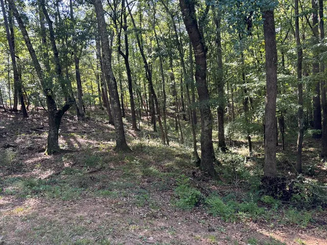 $60,000 | Lot 15 Oversee Court, Midland, GA 31820