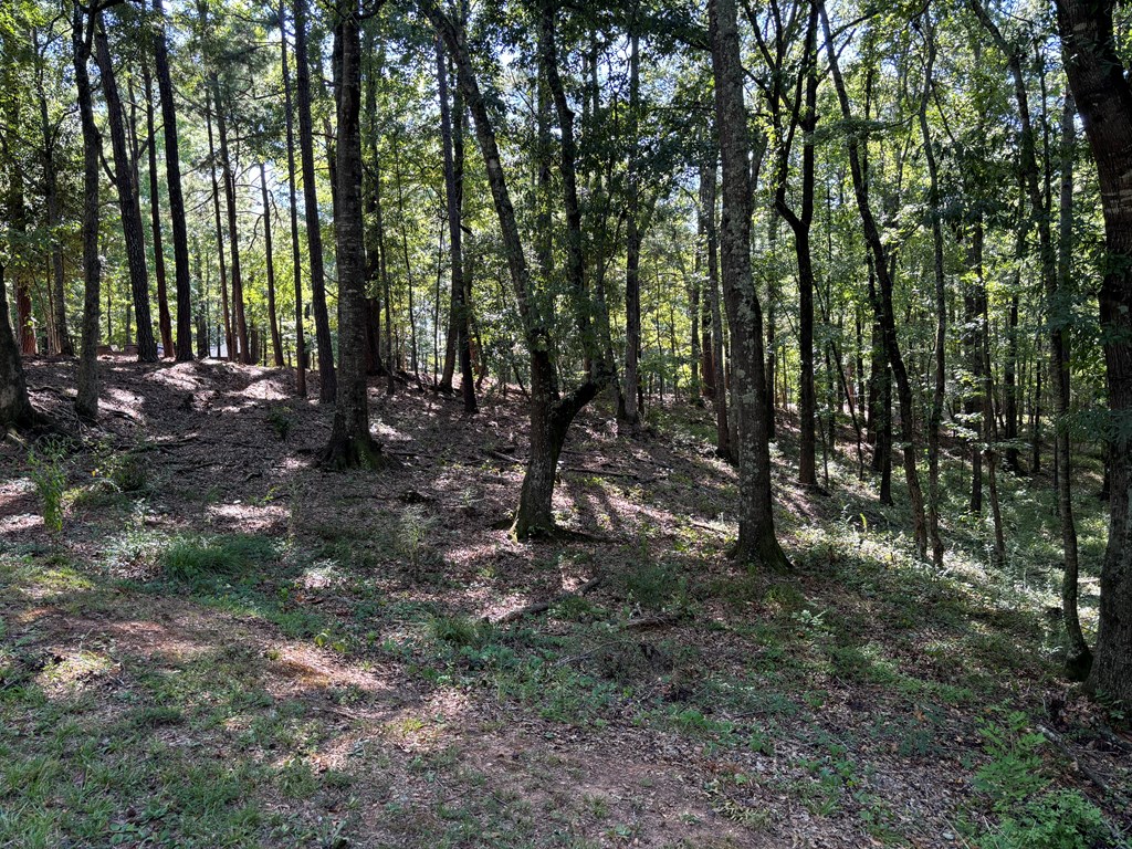 Lot 15 Oversee Court Midland, GA 31820 - Photo 2 of 2