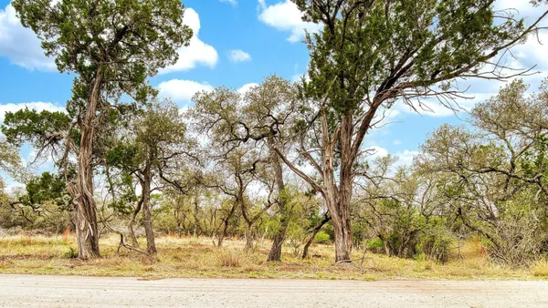 a view of backyard with green space