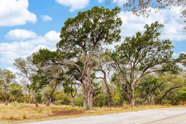a view of yard covered with snow