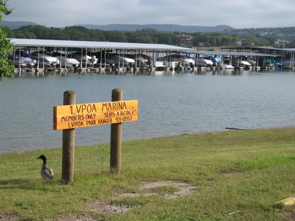 a view of a lake with boats and trees in the background