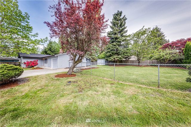a view of a garden with a tree
